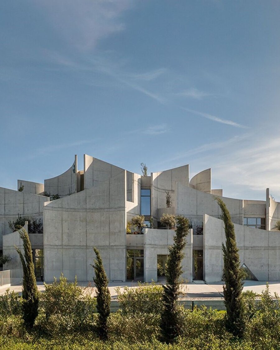 Tiran’da hayvan dostlarımız için tasarlanan bir iyileşme alanı 