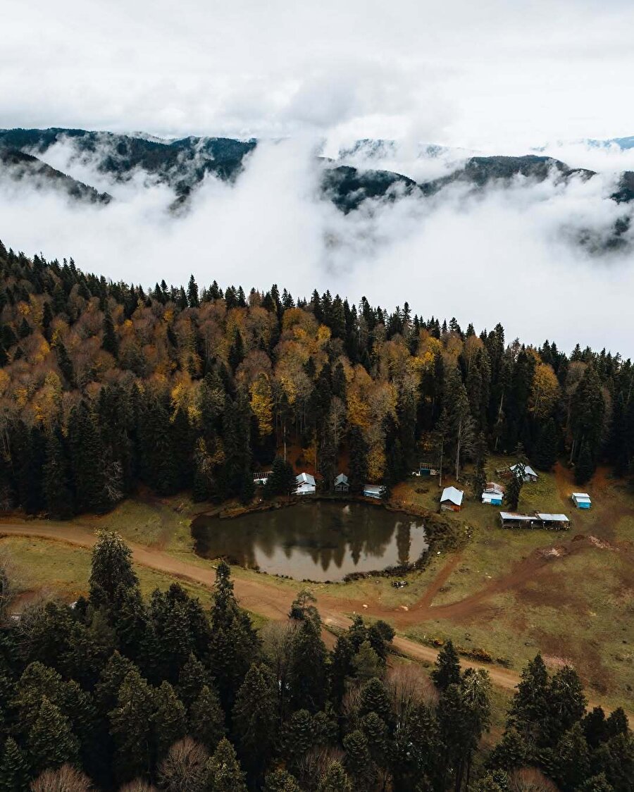 İstanbul’a yakın kamp ve doğal yaşam alanı: Pürenli Yaylası 📍