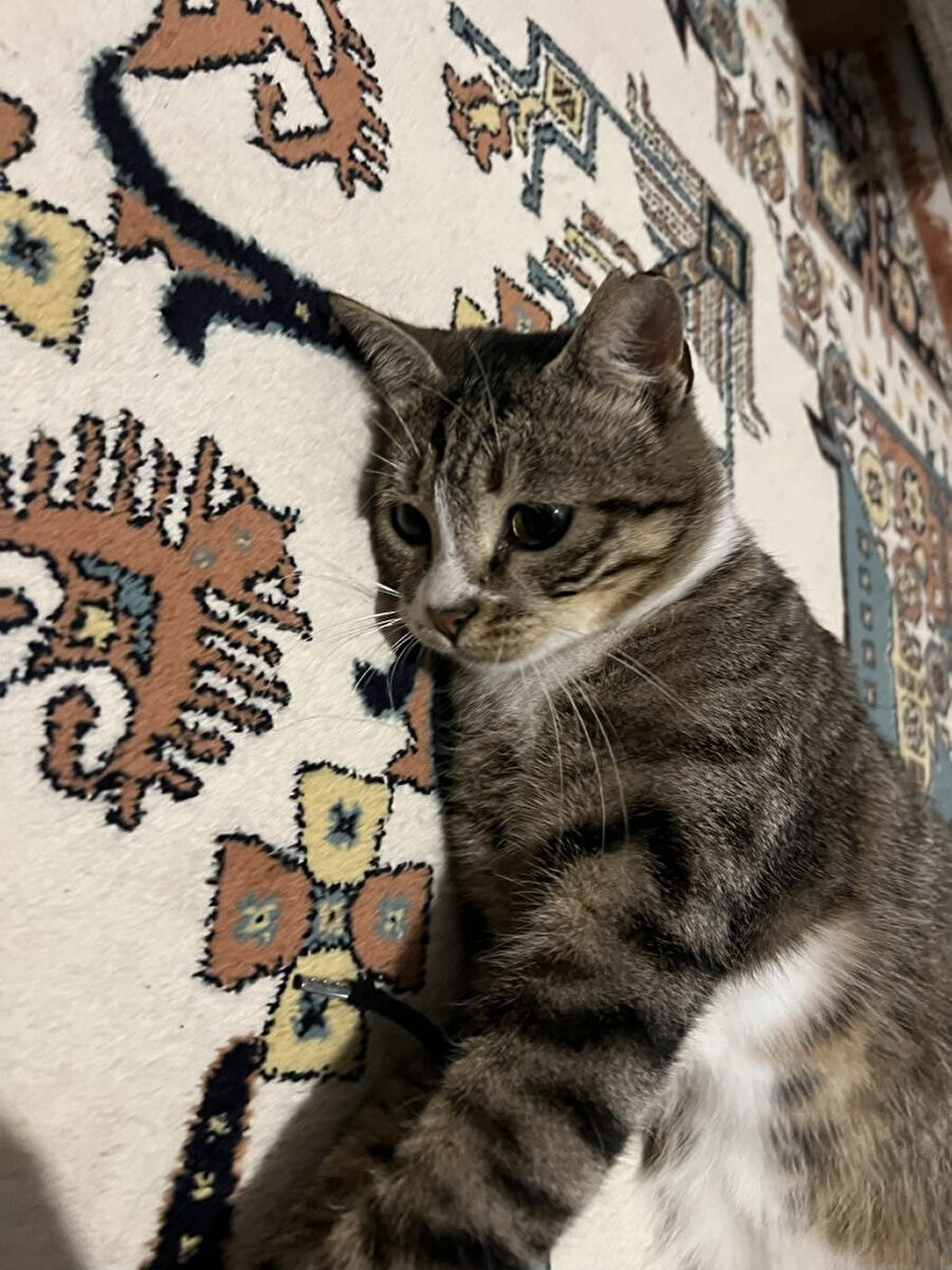 Hafta sonuna daha 3 gün var