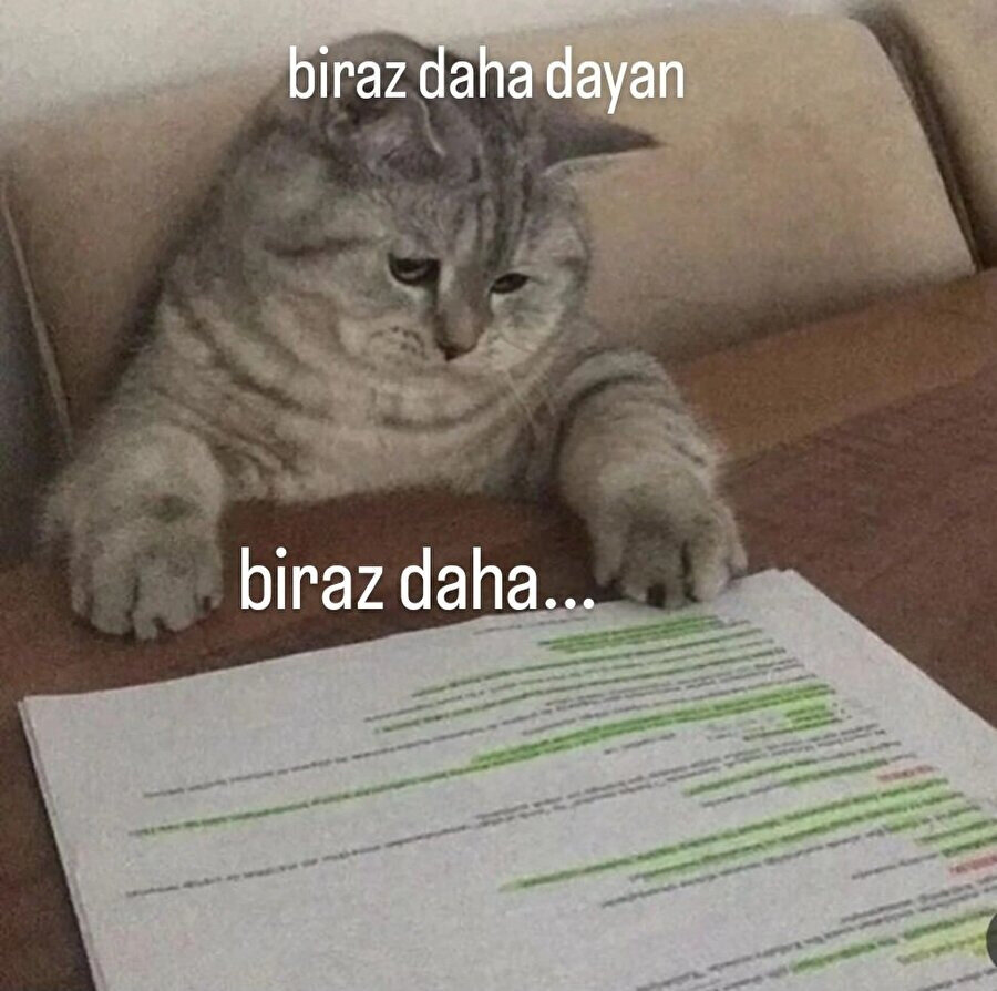 Ders çalışırken biz