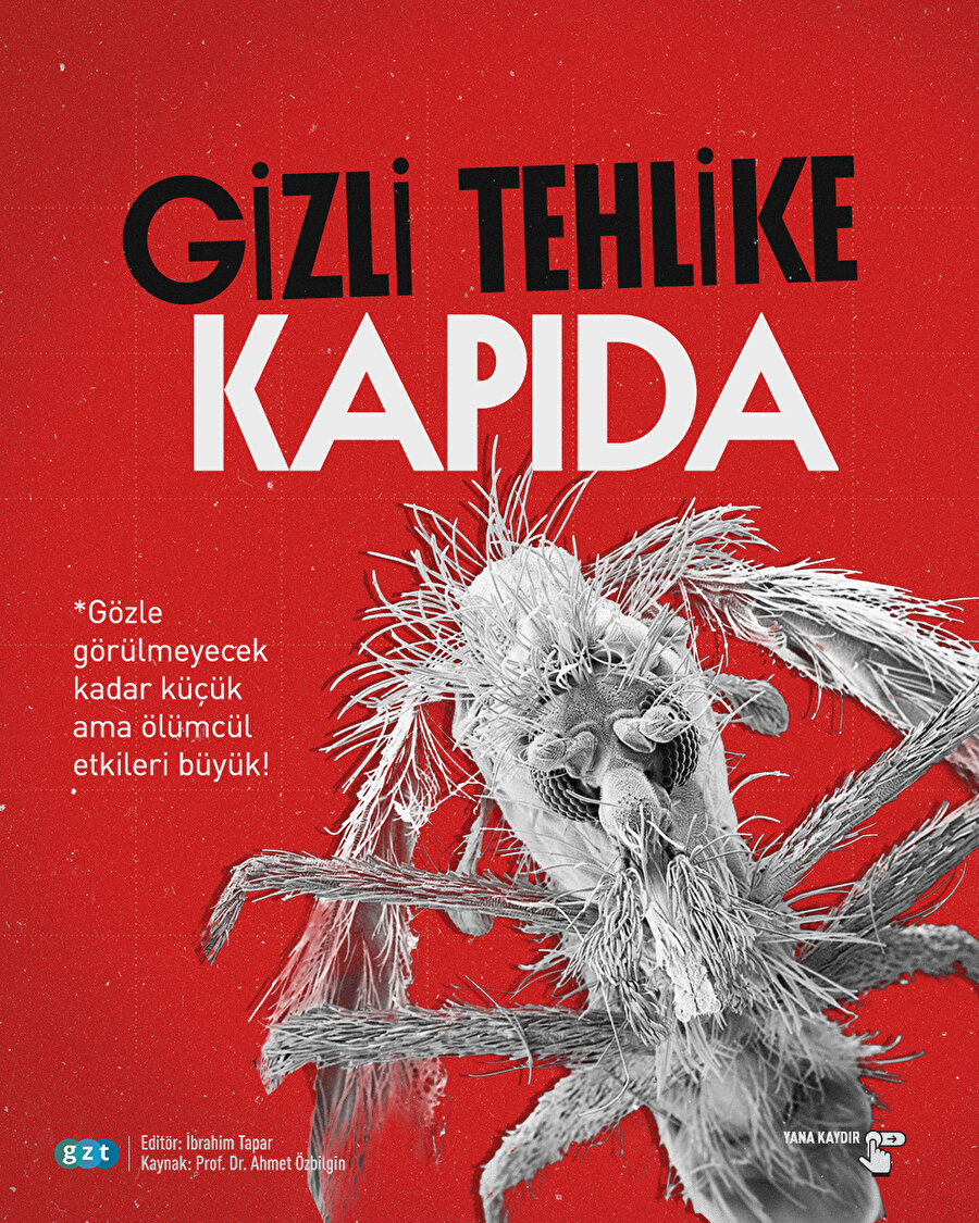 Gizli tehlike kapıda: Türkiye’de tropikal hastalık riski artıyor