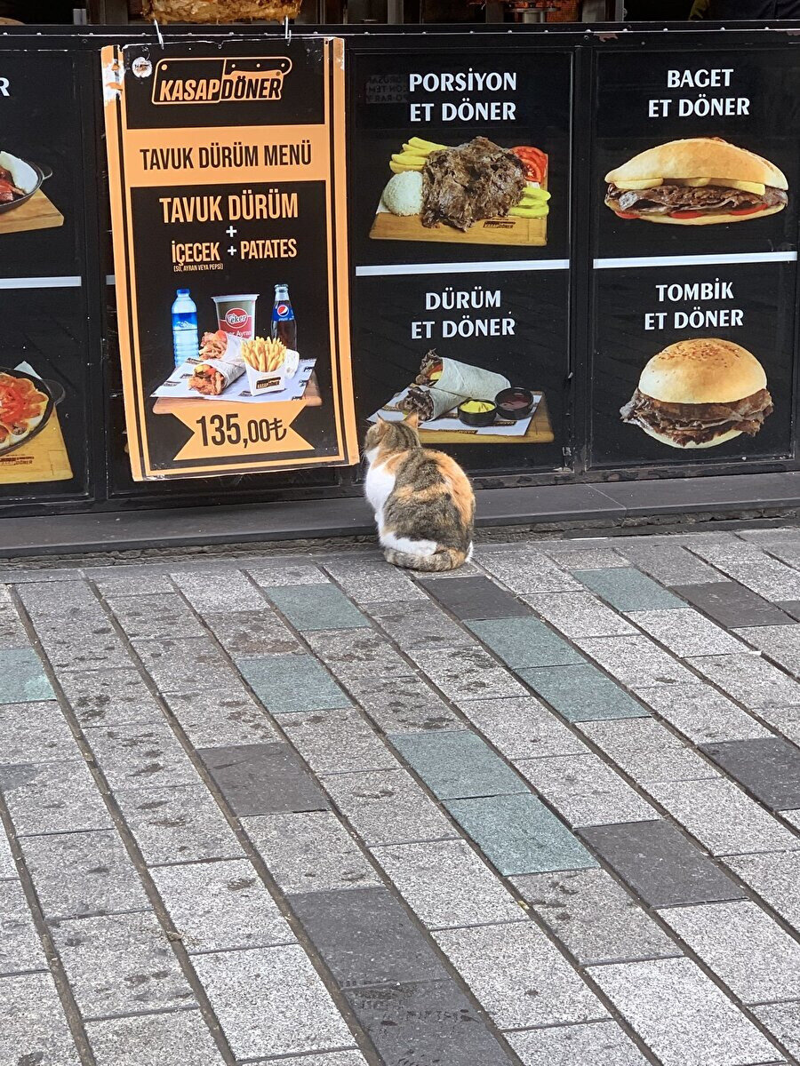 Kendine dürüm seçiyor