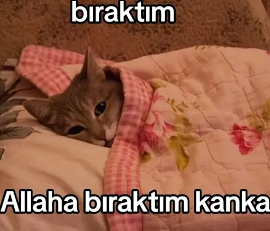 Yine de bizi izinsiz paylaşmanız hoş olmamış