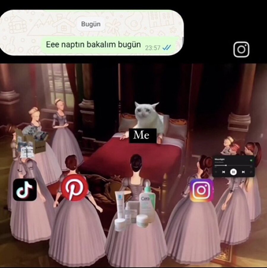 Bizdir
