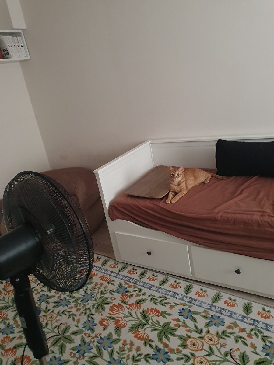 Hayalimizdeki yaşam koşulları