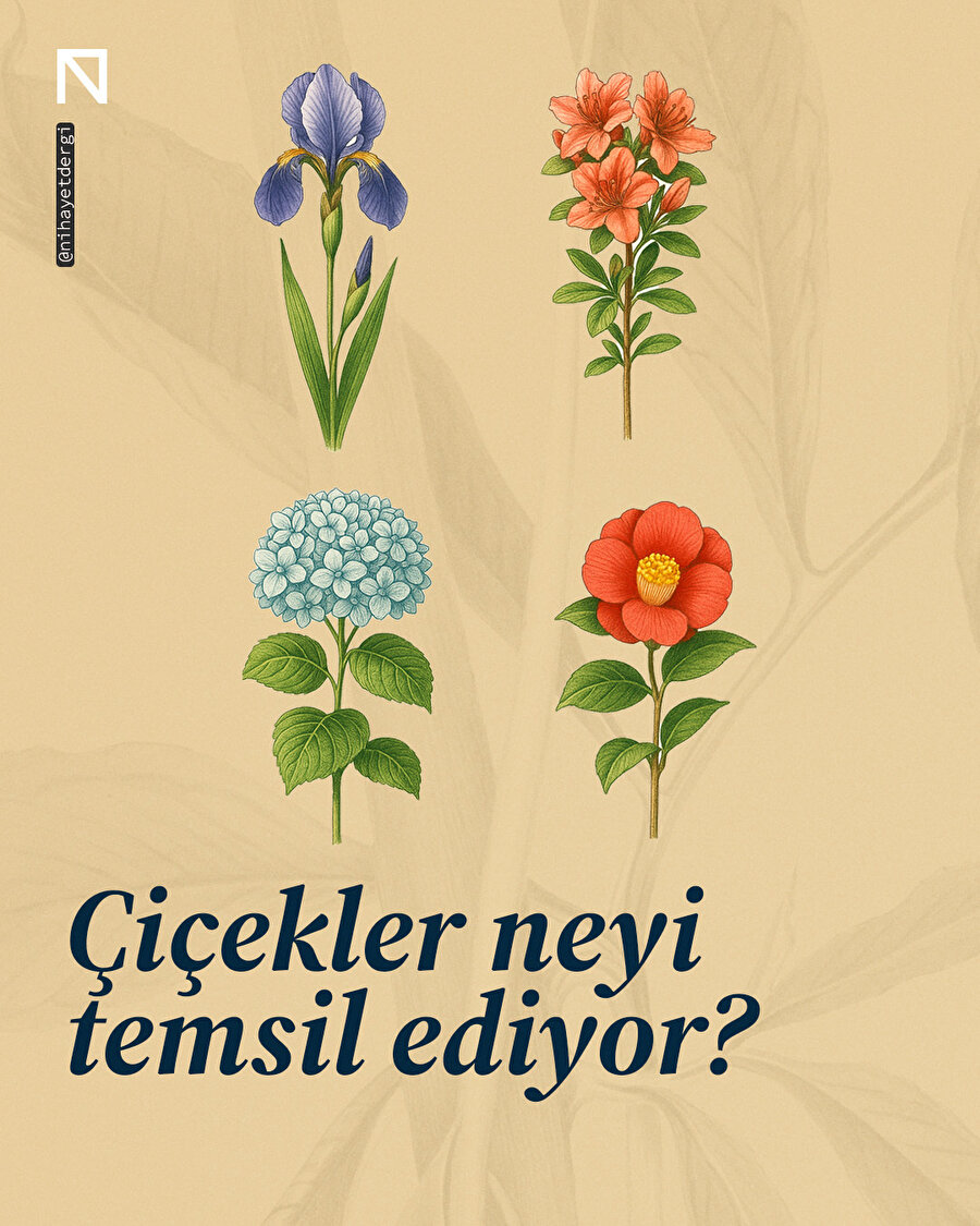 Çiçekler neyi temsil ediyor?