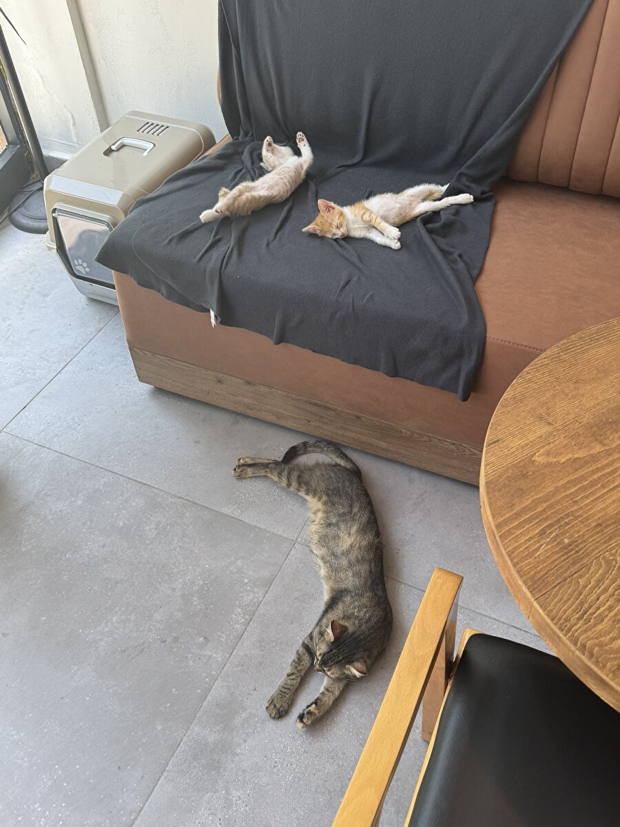 Onlar olmak istiyoruz