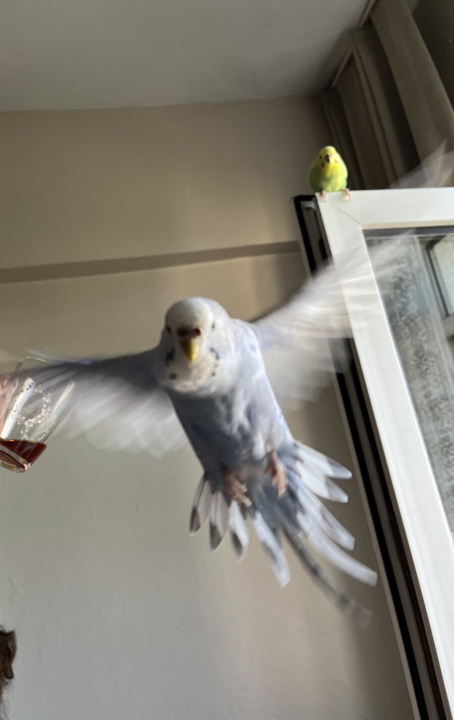Dünyanın değil evrenin en havalı fotoğrafı