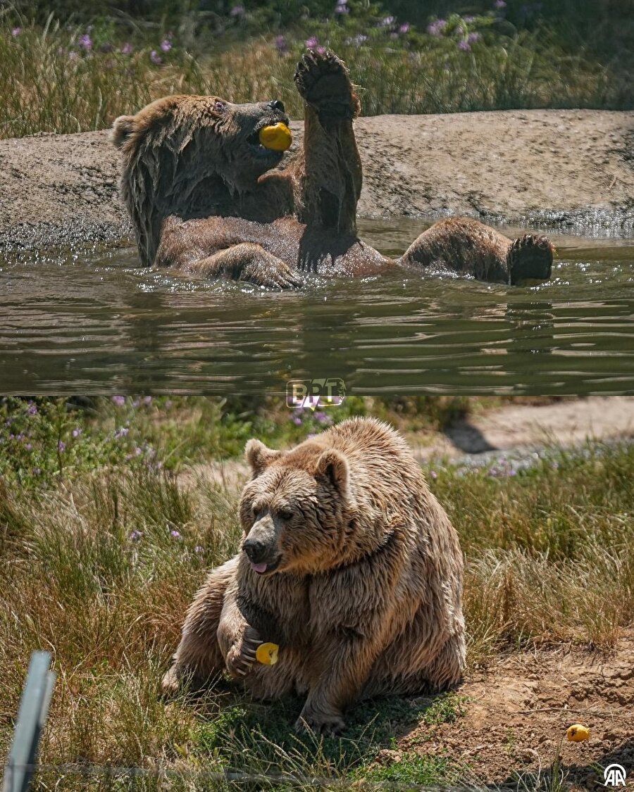 Hayalimizdeki hayatı yaşıyorlar