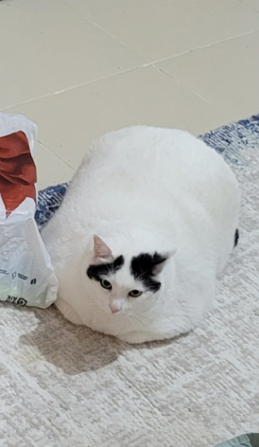 Kabartma tozu fazla olmuş