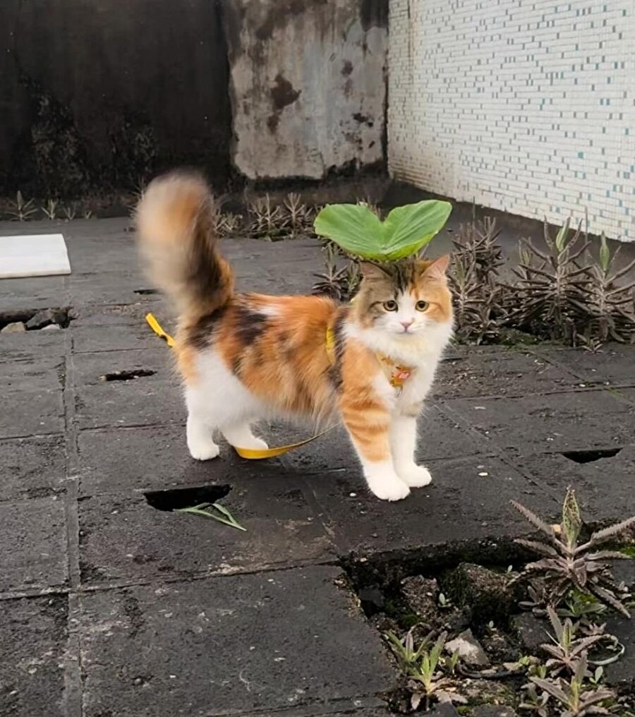 Yağmurdan korunmak için gerekli önlemler alınmış