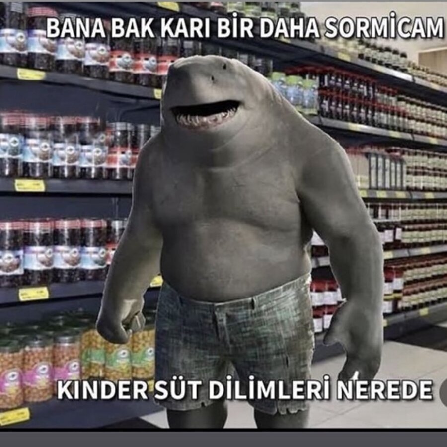 Bizim yaşımıza başımıza bakmadan Cicibebe'ye karşı duyduğumuz bağlılık