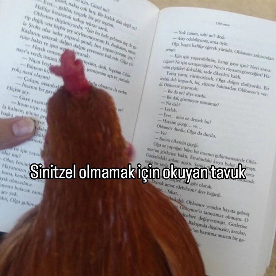 Şöyle bir çalışma motivasyonuna ihtiyacımız var