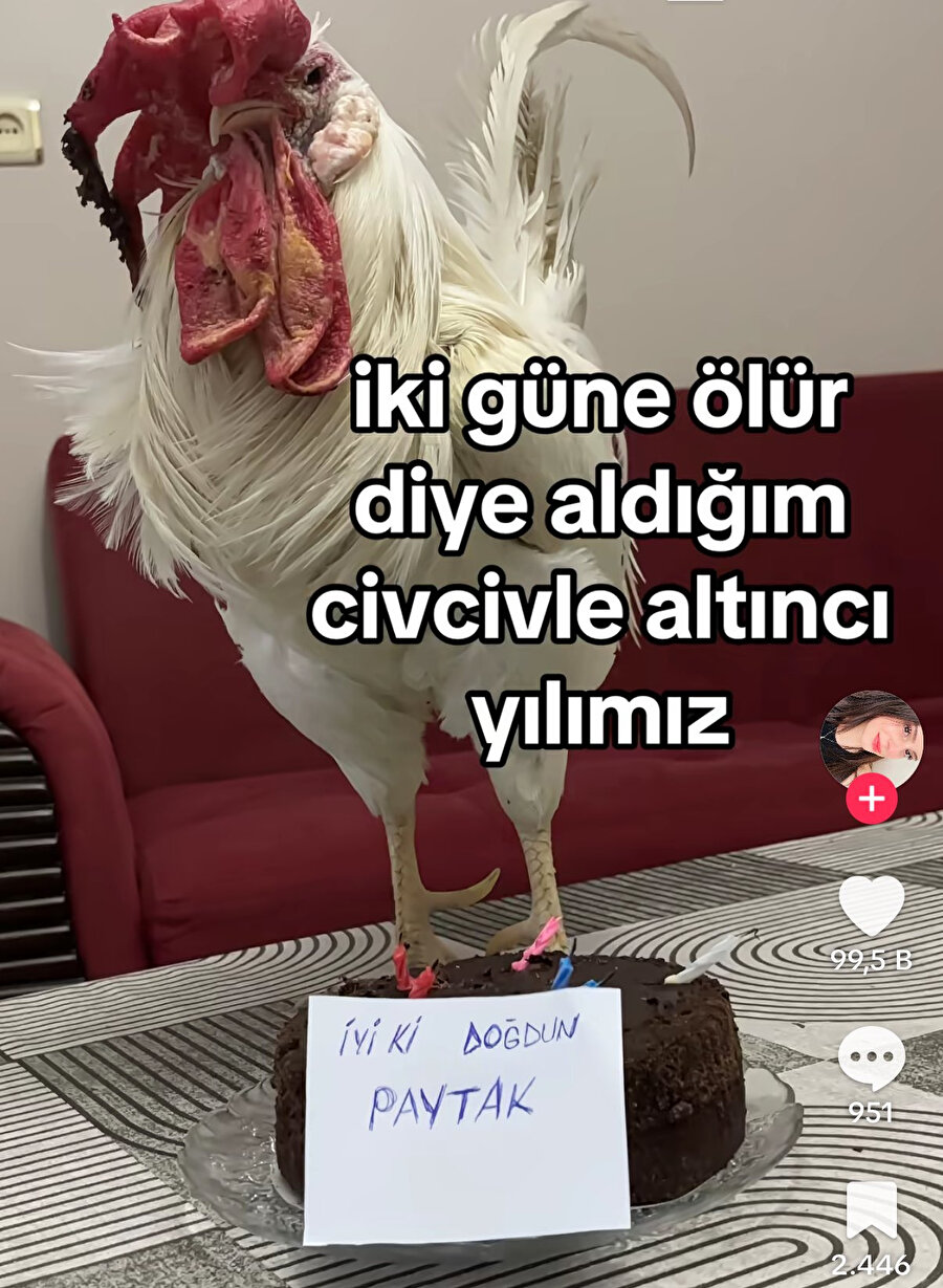 Herkesin bir kez yaşadığı o durum