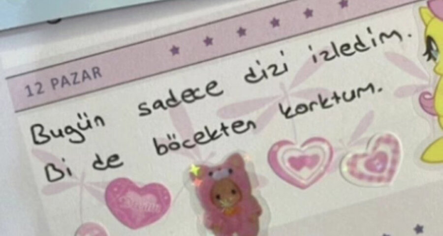 Bizim günlük tutma becerileri