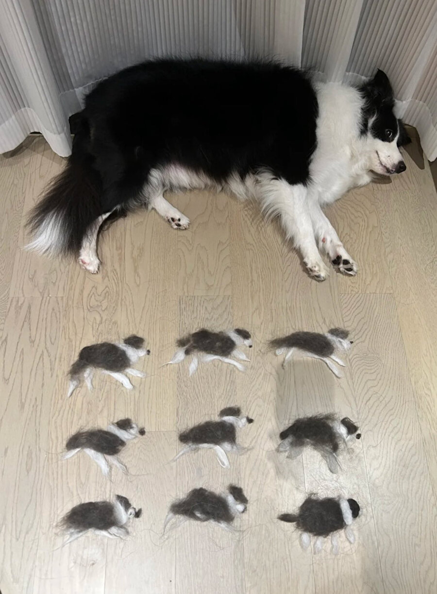 Göz yanılması nedir