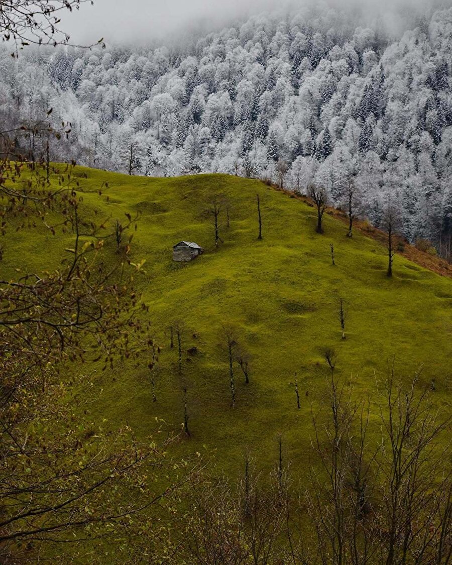 İki mevsim tek kare 🤤