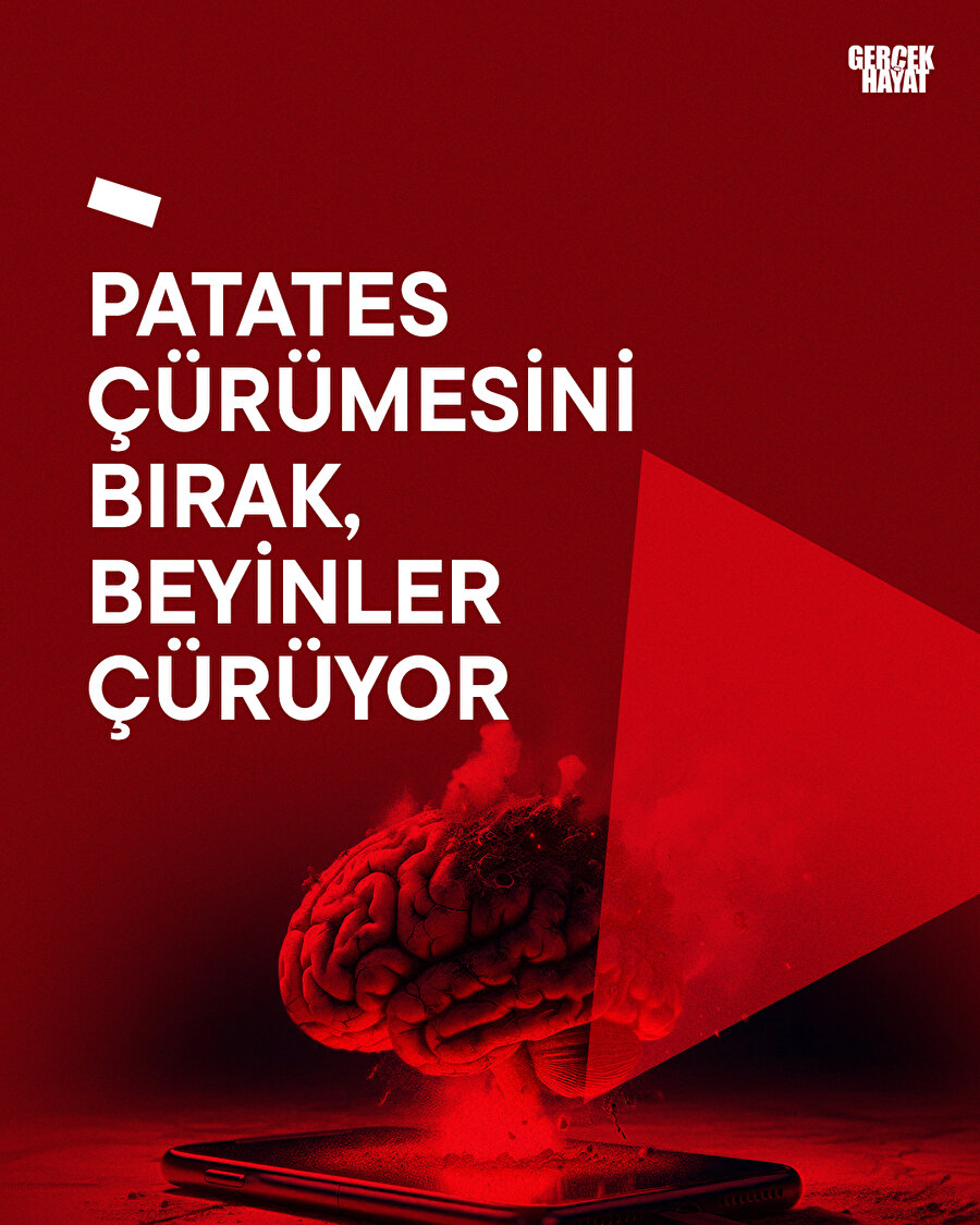 Patates çürümesini bırak, beyinler çürüyor 