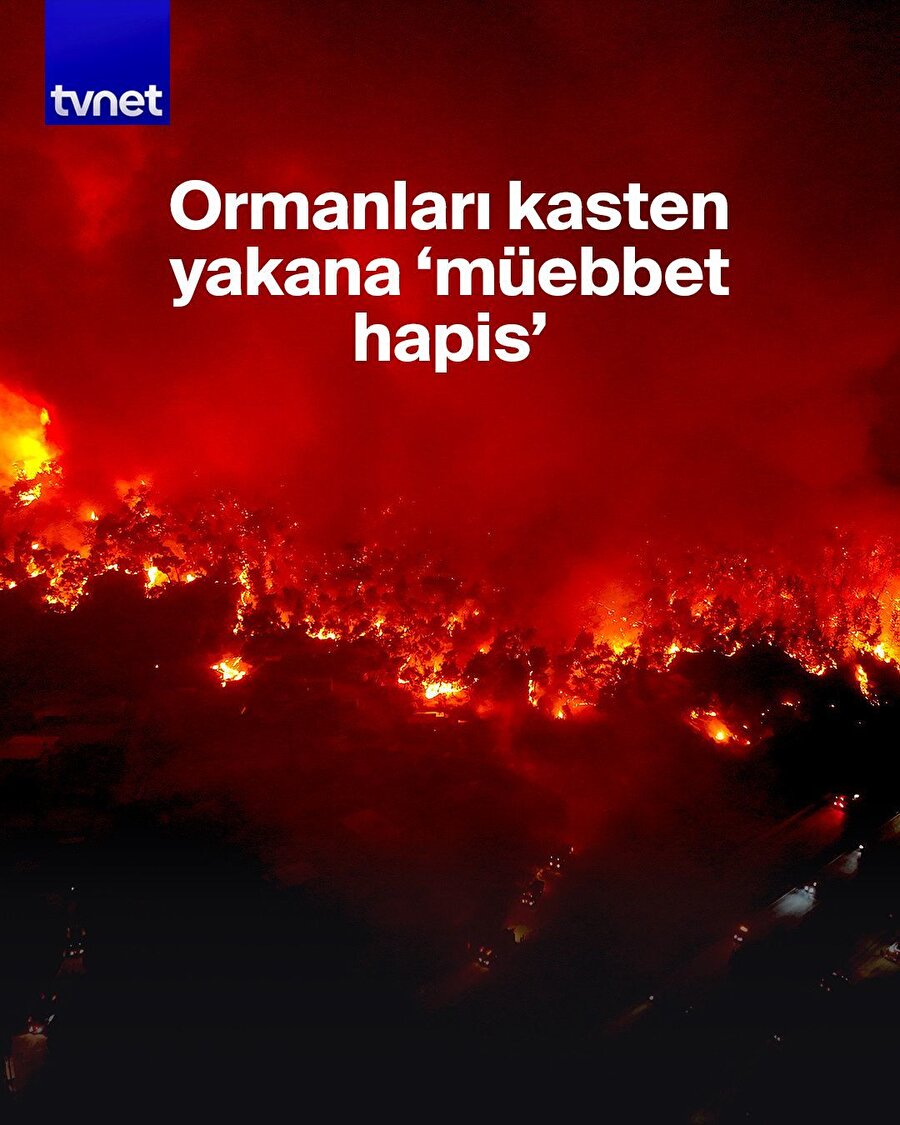 Orman yakana ağırlaştırılmış müebbet mi geliyor?