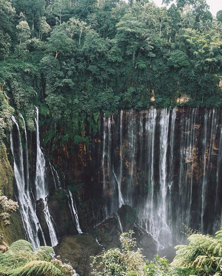 Endonezya’nın büyüleyici doğal harikası: Tumpak Sewu Şelalesi 📍