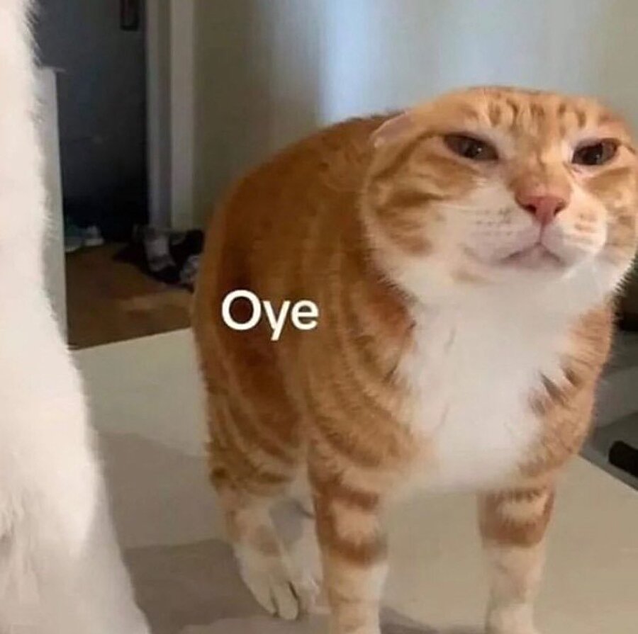 Hazırladığımız sticker Whatsapp gruplarında kullanılınca yaşadığımız güç zehirlenmesi