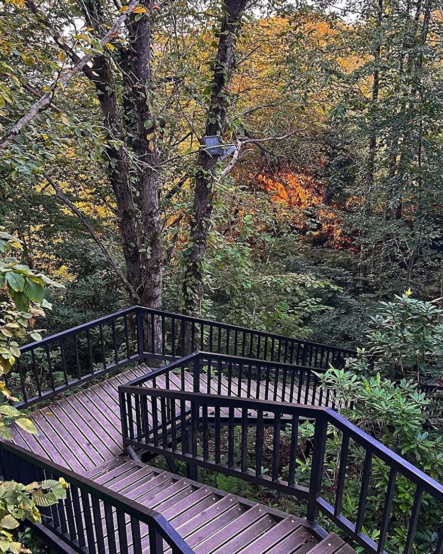 Ordu’nun büyüleyici gün batımına sahip Yoroz Kent Ormanı 🌳