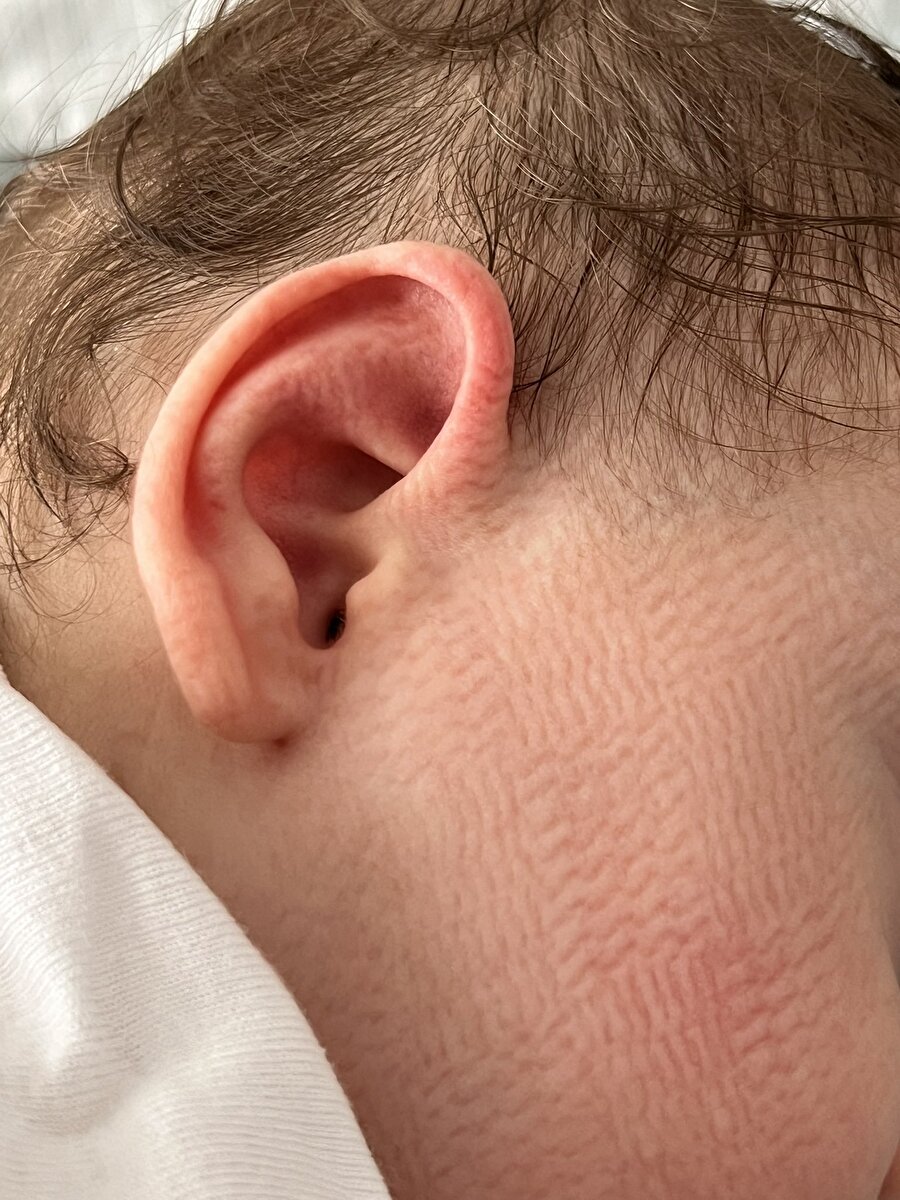 Yeryüzünün en kaliteli uykusu