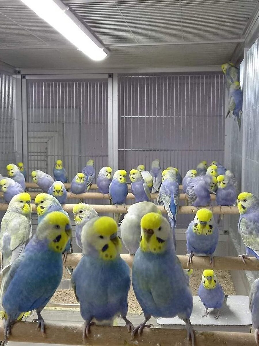 Ojeleri aynı renk oldu diye üzülen kızların arasında bizim arkadaşlarımızla aynılık