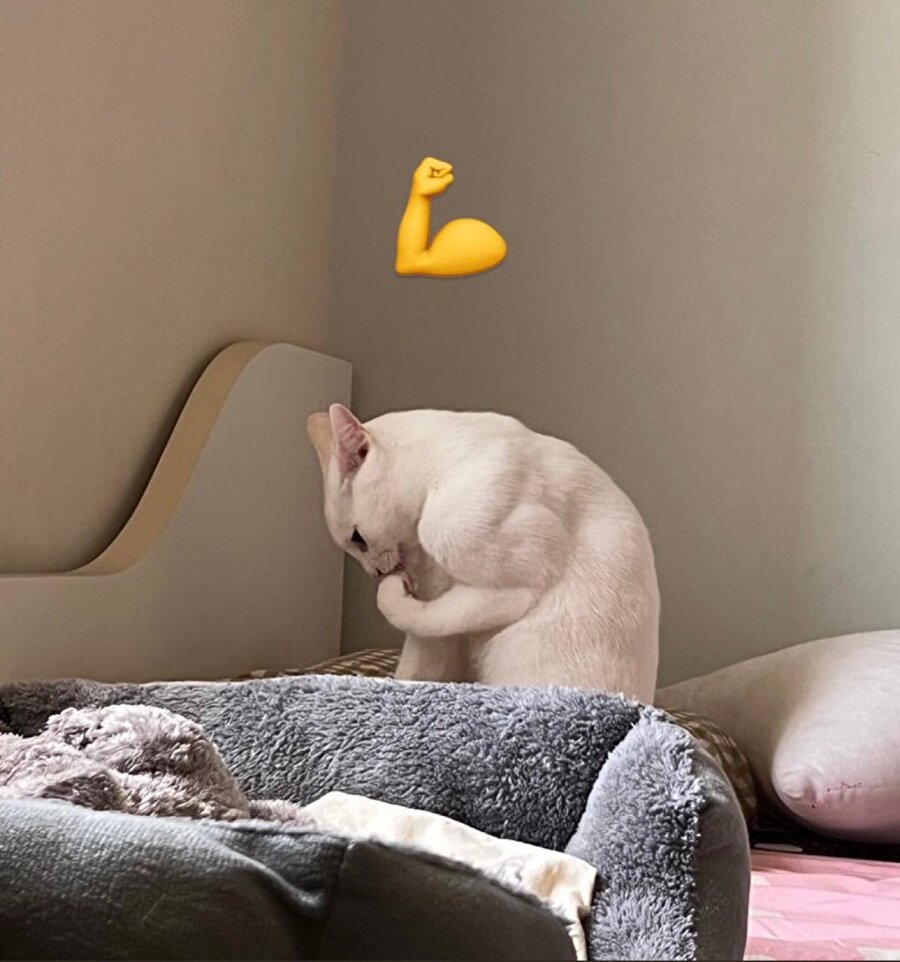 Güçlü ve farkında