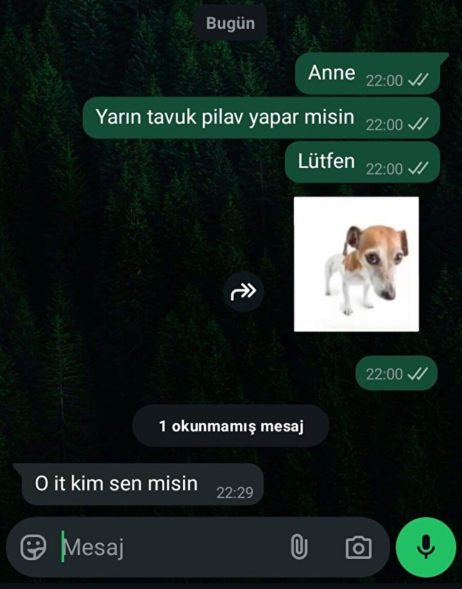 İdeal anne-çocuk ilişkisi