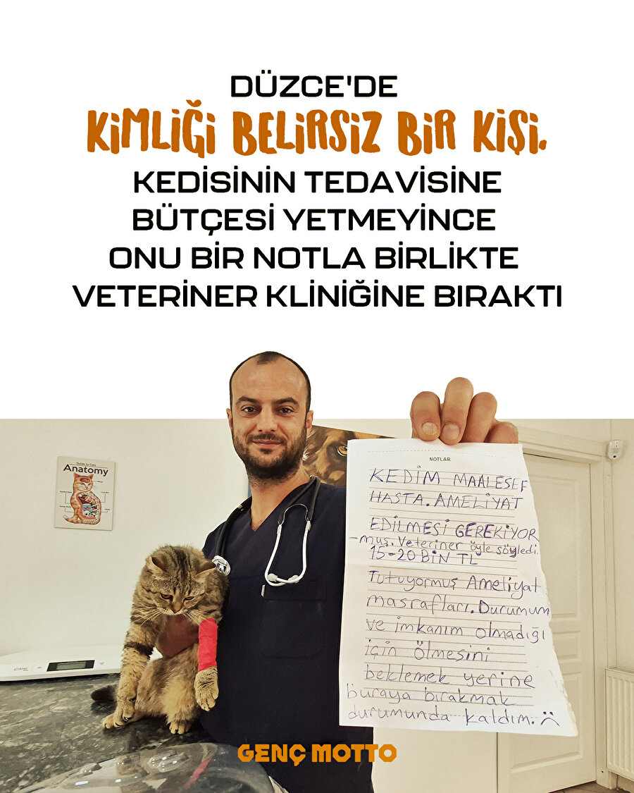 Notlu Veda: Tedaviye Gücü Yetmeyince Kedisini Düzce’de Kliniğe Emanet Etti