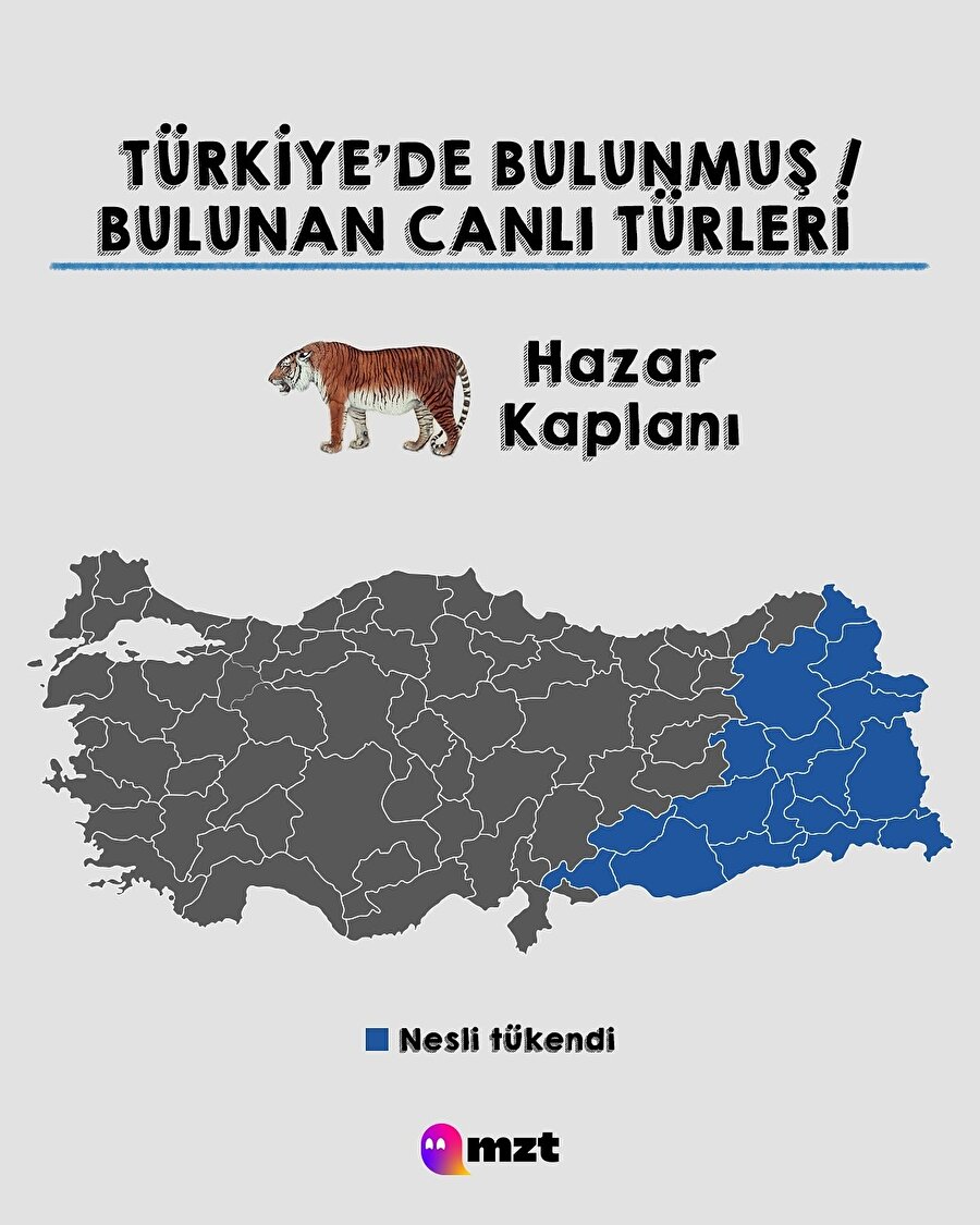 Türkiye’de bulunmuş veya bulunan bazı canlı türleri