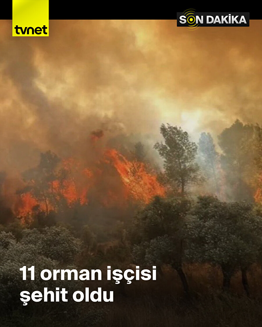 Eskişehir'de 11 orman işçisi şehit oldu