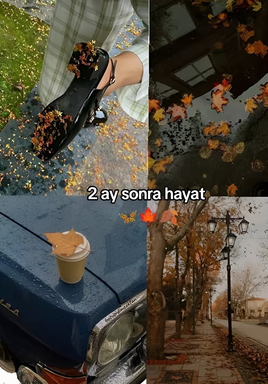 Hayat yeniden böyle hissettirsin