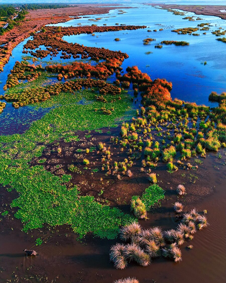 Samsun’un eşsiz manzarası eşliğinde: Kızılırmak Deltası Kuş Cenneti 📍