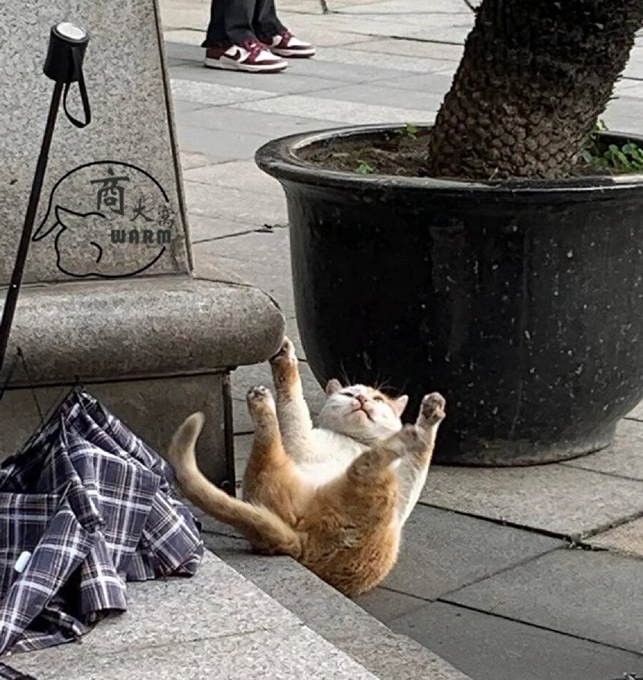 Belki de şarjın bitti ya da biz bittik