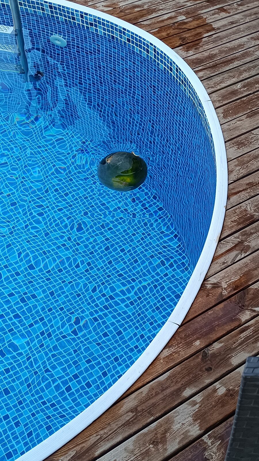 Gerçek bir baba hareketidir