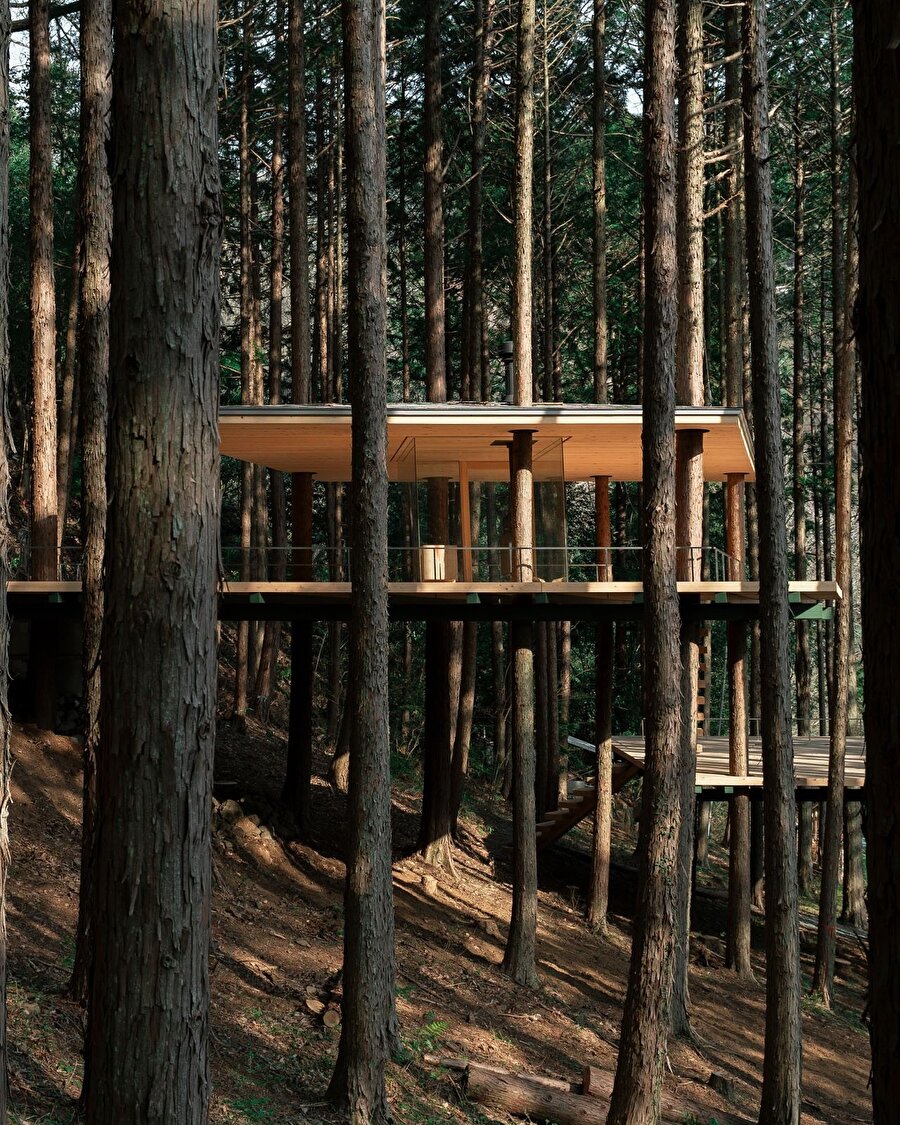 Doğaya müdahale etmektense, onunla birlikte var olma fikri; DAICHI