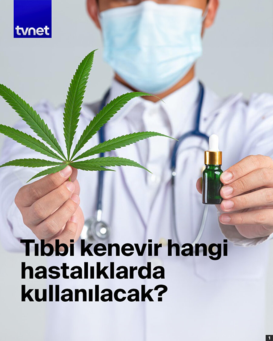 Tıbbi kenevir hangi hastalıklarda kullanılacak?