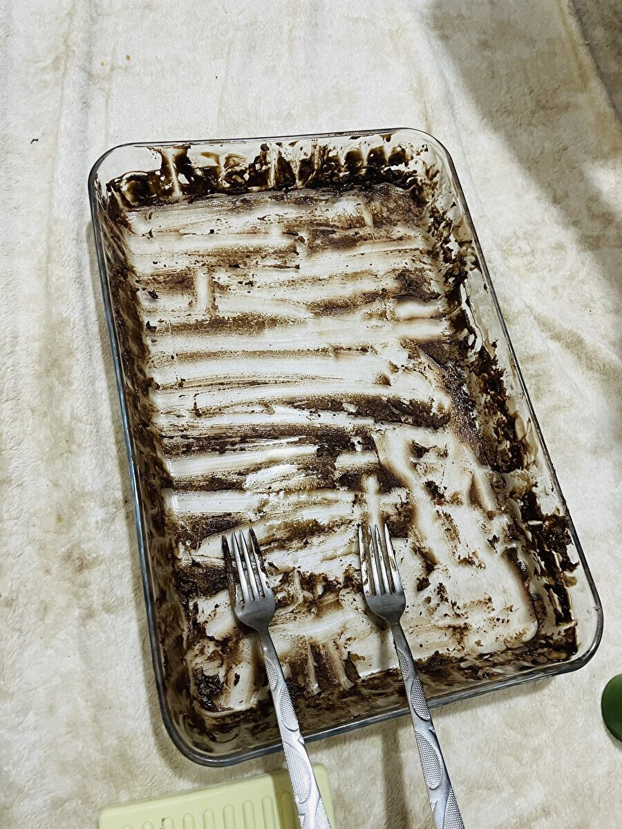 Soğusun diye buzdolabına koyduğumuz pasta erkek kardeşimiz ile tanışmış