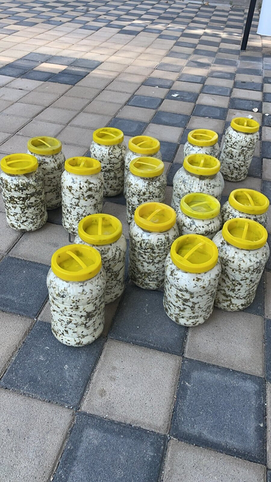 Kokusu olan görsellerde bugün