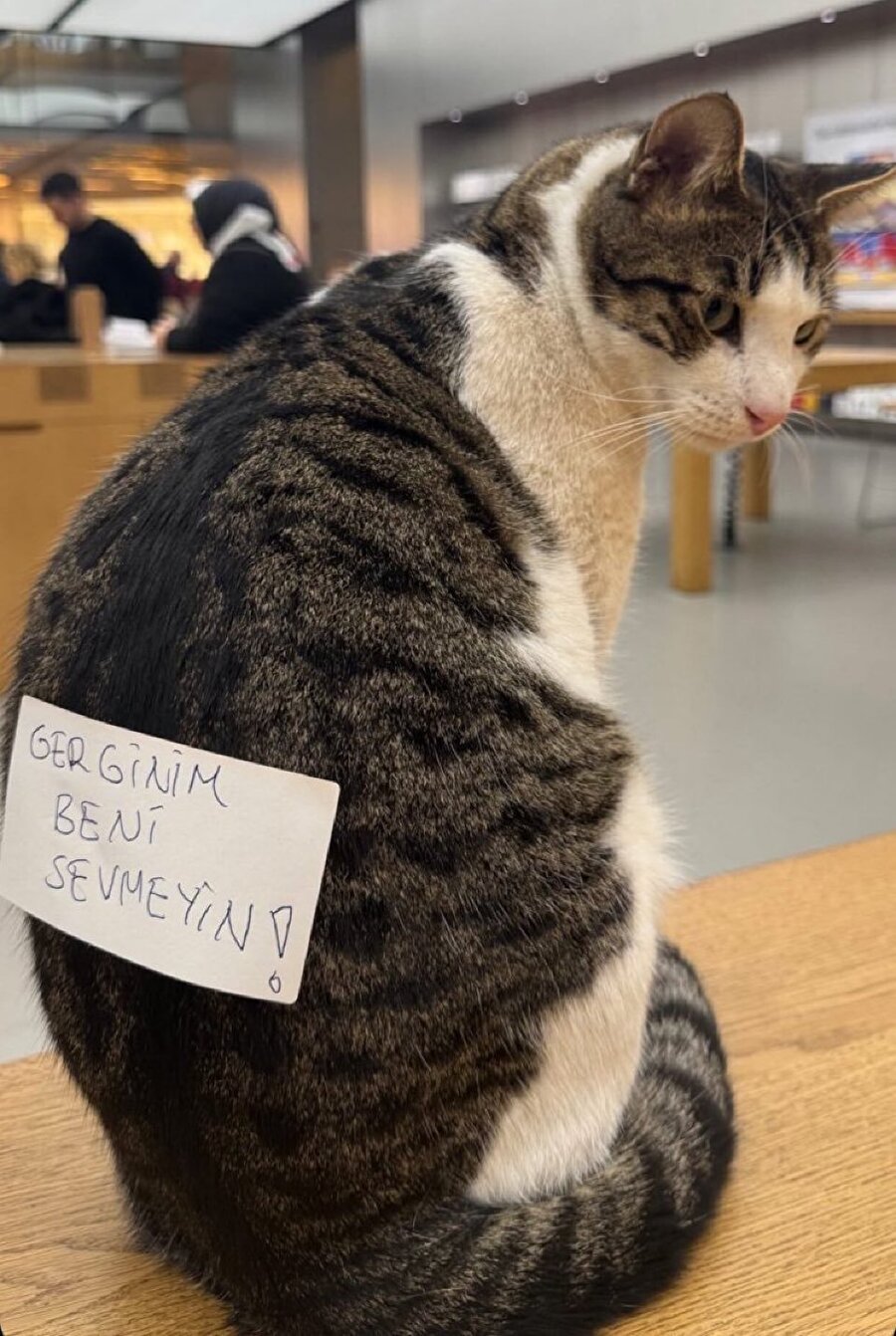 Alnıma asmak istediğim uyarı