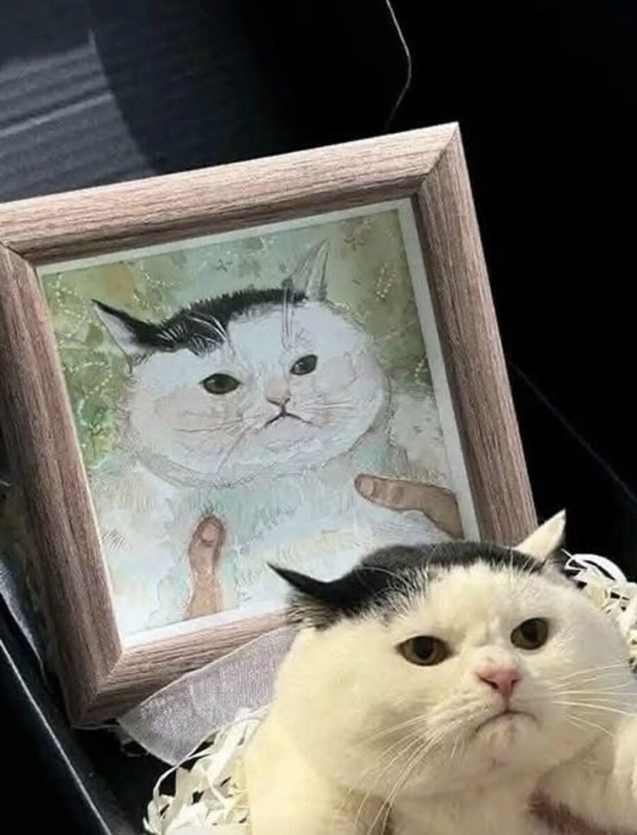 Hiçbir fark göremiyoruz