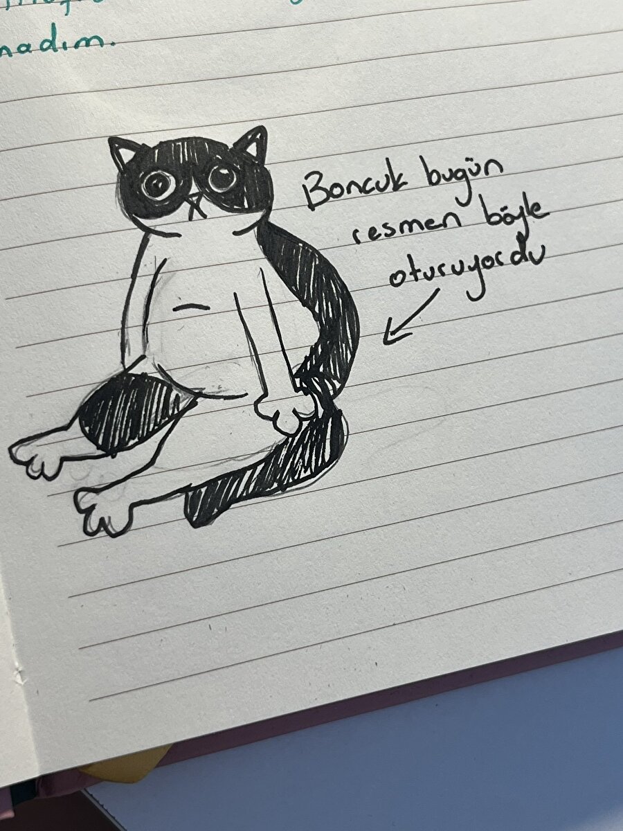 Bizim günlük tutma becerileri