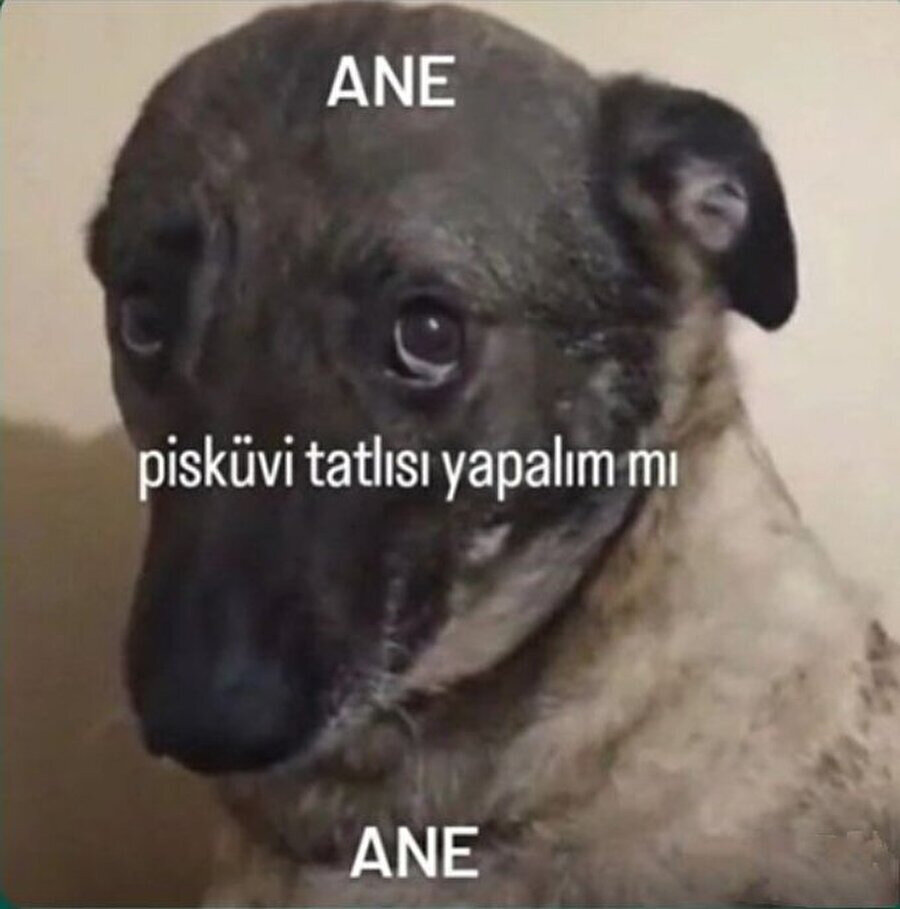 Zengin bu tadı bilmez ki