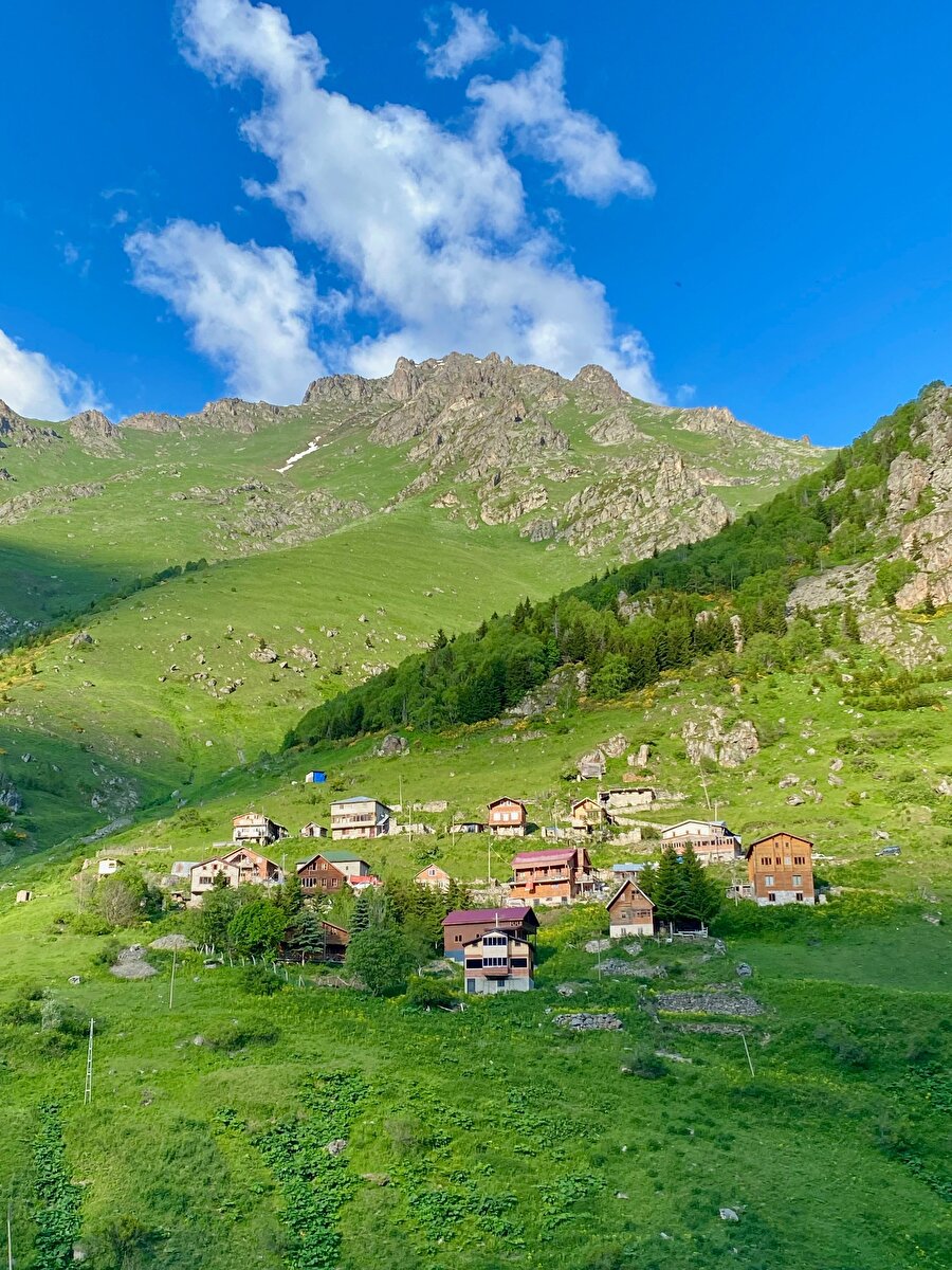 Doğu Karadeniz’in büyüleyici doğasının içinde: Çiçekli Yaylası 🪻