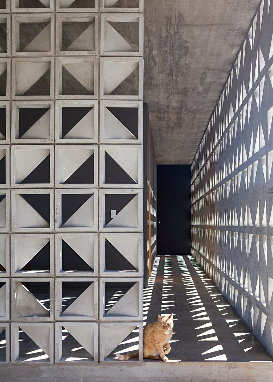 Eğime oturan modernist konut yapısı: Moenda’s House