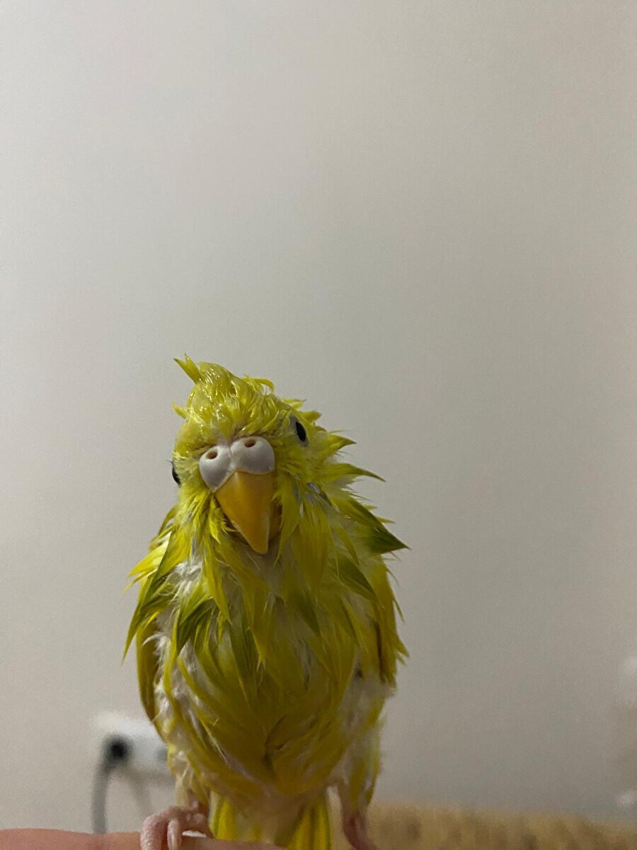 Evden dışarı çıktığımız an dönüştüğümüz kişi