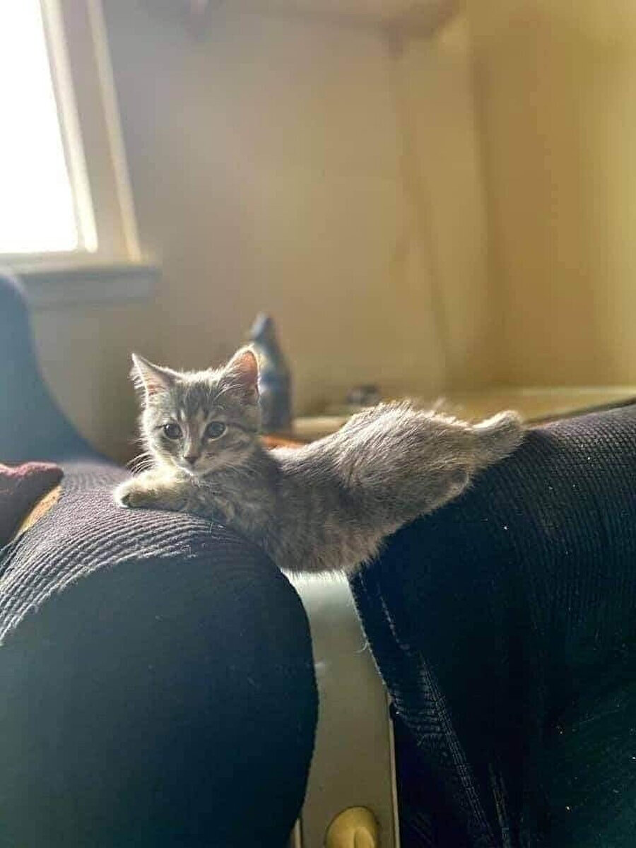 Benim mental sağlığım ile kariyerimi bir arada tutma çabası