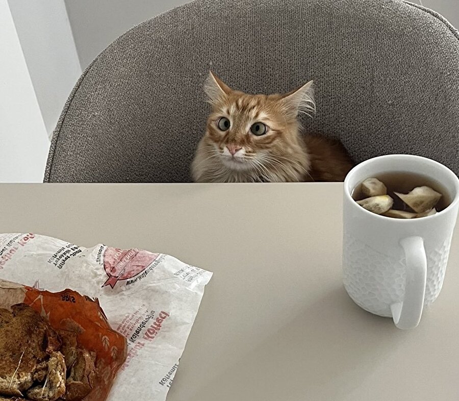 O kadar aç ki ikisine de aynı anda bakıyor